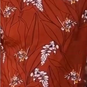 ISO anything in this print in XS